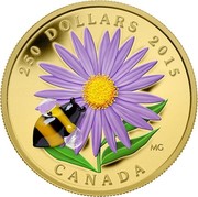 Canada 250 Dollars Aster and Bumble Bee 2015 Proof KM# 1836 250 DOLLARS 2015 CANADA MG coin reverse Canada 250 Dollars Aster and Bumble Bee 2015 Proof KM# 1836 250 DOLLARS 2015 CANADA MG coin reverse