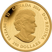 Canada 250 Dollars Canadian Contemporary Art - Canada Through the Eyes of Tim Barnard 2014 KM# 1622 ELIZABETH II CANADA 2014 D ∙ G ∙ REGINA 250 DOLLARS SB coin obverse Canada 250 Dollars Canadian Contemporary Art - Canada Through the Eyes of Tim Barnard 2014 KM# 1622 ELIZABETH II CANADA 2014 D ∙ G ∙ REGINA 250 DOLLARS SB coin obverse