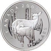 Canada 5 Dollars White tailed deer 2005 Proof KM# 558 CANADA 2005 5 DOLLARS XI coin reverse Canada 5 Dollars White tailed deer 2005 Proof KM# 558 CANADA 2005 5 DOLLARS XI coin reverse