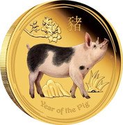 Australia 100 Dollars Year of the Pig Coloured 2019 P Proof YEAR OF THE PIG coin reverse Australia 100 Dollars Year of the Pig Coloured 2019 P Proof YEAR OF THE PIG coin reverse