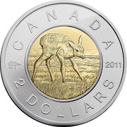 Canada 2 Dollars Elk Calf 2011 Prooflike KM# 1088 CANADA 2 DOLLARS 2011 coin reverse Canada 2 Dollars Elk Calf 2011 Prooflike KM# 1088 CANADA 2 DOLLARS 2011 coin reverse