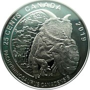 Canada 25 Cents Pachyrhinosaurus Canadensis 2019  25 CENTS CANADA 2019 JC PACHYRHINOSAURUS CANADENSIS coin reverse Canada 25 Cents Pachyrhinosaurus Canadensis 2019  25 CENTS CANADA 2019 JC PACHYRHINOSAURUS CANADENSIS coin reverse