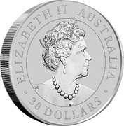 Australia 30 Dollars Koala 2019 P Proof ELIZABETH II AUSTRALIA 30 DOLLARS coin obverse Australia 30 Dollars Koala 2019 P Proof ELIZABETH II AUSTRALIA 30 DOLLARS coin obverse