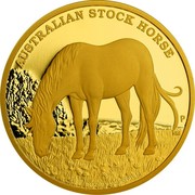 Australia 500 Dollars Australian Stoch Horse 2017 P AUSTRALIAN STOCK HORSE P JM coin reverse Australia 500 Dollars Australian Stoch Horse 2017 P AUSTRALIAN STOCK HORSE P JM coin reverse