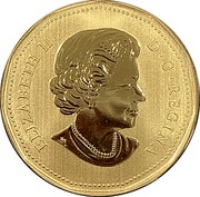 Canada Dollar Pileated Woodpecker 2019 Specimen ELIZABETH II D ∙ G ∙ REGINA coin obverse Canada Dollar Pileated Woodpecker 2019 Specimen ELIZABETH II D ∙ G ∙ REGINA coin obverse