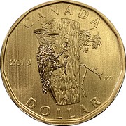 Canada Dollar Pileated Woodpecker 2019 Specimen CANADA 2019 JCD DOLLAR coin reverse Canada Dollar Pileated Woodpecker 2019 Specimen CANADA 2019 JCD DOLLAR coin reverse