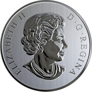 Canada 10 Dollars Maple Leaves 2019 ELIZABETH II D • G • REGINA coin obverse Canada 10 Dollars Maple Leaves 2019 ELIZABETH II D • G • REGINA coin obverse