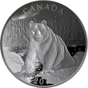 Canada 100 Dollars Brown Bear 2019 CANADA 2019 coin reverse Canada 100 Dollars Brown Bear 2019 CANADA 2019 coin reverse