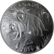 Canada 100 Dollars Wolves 2019 CANADA 2019 coin reverse Canada 100 Dollars Wolves 2019 CANADA 2019 coin reverse