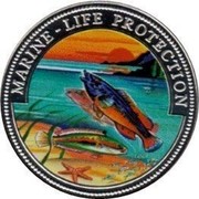 Malta 100 Liras Multicolor fish scene 1999 Proof X# 301 MARINE - LIFE PROTECTION coin reverse Malta 100 Liras Multicolor fish scene 1999 Proof X# 301 MARINE - LIFE PROTECTION coin reverse