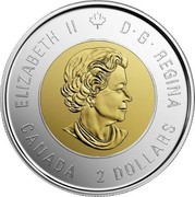 Canada 2 Dollars 75th anniversary of D-Day (Coloured) 2019 4 Coin Multi Nation Set RAM ELIZABETH II D . G. REGINA CANADA 2 DOLLARS coin obverse Canada 2 Dollars 75th anniversary of D-Day (Coloured) 2019 4 Coin Multi Nation Set RAM ELIZABETH II D . G. REGINA CANADA 2 DOLLARS coin obverse