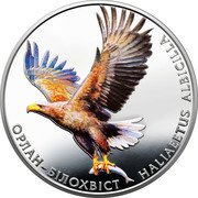 Ukraine 2 Hryvni Orlan-Bilohvist (Haliaeetus Albicilla) 2019 BU ОРЛАН-БІЛОХВІСТ HALIAEETUS ALBICILLA coin reverse Ukraine 2 Hryvni Orlan-Bilohvist (Haliaeetus Albicilla) 2019 BU ОРЛАН-БІЛОХВІСТ HALIAEETUS ALBICILLA coin reverse