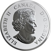 Canada 20 Dollars Bald Eagle 2019 ELIZABETH II CANADA D G REGINA coin obverse Canada 20 Dollars Bald Eagle 2019 ELIZABETH II CANADA D G REGINA coin obverse