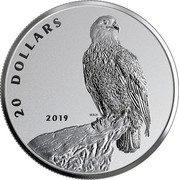 Canada 20 Dollars Bald Eagle 2019 20 DOLLARS 2019 coin reverse Canada 20 Dollars Bald Eagle 2019 20 DOLLARS 2019 coin reverse