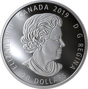 Canada 20 Dollars Reflections: Bald Eagle 2019 ELIZABETH II CANADA 2019 D G REGINA 20 DOLLARS coin obverse Canada 20 Dollars Reflections: Bald Eagle 2019 ELIZABETH II CANADA 2019 D G REGINA 20 DOLLARS coin obverse