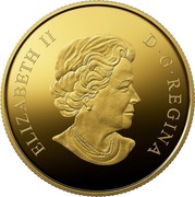Canada 200 Dollars 100th Anniversary of Canadian National Railway 2019 ELIZABETH II D • G • REGINA coin obverse Canada 200 Dollars 100th Anniversary of Canadian National Railway 2019 ELIZABETH II D • G • REGINA coin obverse