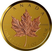 Canada 200 Dollars 40th Anniversary of the Gold Maple Leaf 2019 CANADA 99999 FINE GOLD 1 OZ OR PUR 99999 coin reverse Canada 200 Dollars 40th Anniversary of the Gold Maple Leaf 2019 CANADA 99999 FINE GOLD 1 OZ OR PUR 99999 coin reverse
