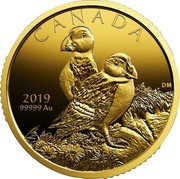 Canada 200 Dollars Atlantic Puffins 2019 CANADA 2019 99999 AU coin reverse Canada 200 Dollars Atlantic Puffins 2019 CANADA 2019 99999 AU coin reverse