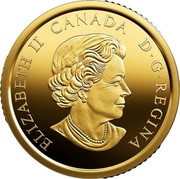 Canada 200 Dollars Canadian Coastal Symbols. The Arctic 2019 ELIZABETH II CANADA D G REGINA coin obverse Canada 200 Dollars Canadian Coastal Symbols. The Arctic 2019 ELIZABETH II CANADA D G REGINA coin obverse