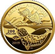Canada 200 Dollars Canadian Coastal Symbols. The Arctic 2019 ARTIC ARCTIQUE 200 DOLLARS 2019 coin reverse Canada 200 Dollars Canadian Coastal Symbols. The Arctic 2019 ARTIC ARCTIQUE 200 DOLLARS 2019 coin reverse
