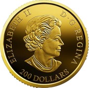 Canada 200 Dollars Canadian Moose 2019 ELIZABETH II D G REGINA 200 DOLLARS coin obverse Canada 200 Dollars Canadian Moose 2019 ELIZABETH II D G REGINA 200 DOLLARS coin obverse