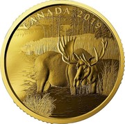 Canada 200 Dollars Canadian Moose 2019 CANADA 2019 coin reverse Canada 200 Dollars Canadian Moose 2019 CANADA 2019 coin reverse