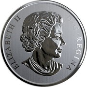 Canada 25 Cents 100th Anniversary of CN Rail 2019 ELIZABETH II D G REGINA coin obverse Canada 25 Cents 100th Anniversary of CN Rail 2019 ELIZABETH II D G REGINA coin obverse