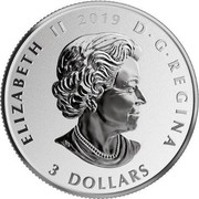 Canada 3 Dollars Aurora Borealis 2019 ELIZABETH II 2019 D ∙ G ∙ REGINA 3 DOLLARS coin obverse Canada 3 Dollars Aurora Borealis 2019 ELIZABETH II 2019 D ∙ G ∙ REGINA 3 DOLLARS coin obverse