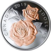 Canada 3 Dollars Queen Elizabeth Rose Blossoms 2019 CANADA 2019 3 DOLLARS CD coin reverse Canada 3 Dollars Queen Elizabeth Rose Blossoms 2019 CANADA 2019 3 DOLLARS CD coin reverse