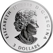 Canada 3 Dollars Tulips 2019 ELIZABETH II 2019 D ∙ G ∙ REGINA 3 DOLLARS coin obverse Canada 3 Dollars Tulips 2019 ELIZABETH II 2019 D ∙ G ∙ REGINA 3 DOLLARS coin obverse
