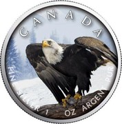 Canada 5 Dollars Bald Eagle - Wildlife 2019 CANADA FINE SILVER 1 OZ ARGENT PUR coin reverse