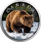 Canada 5 Dollars Grizzly Bear (Colored) 2019 CANADA FINE SILVER 1 OZ ARGENT PUR coin reverse Canada 5 Dollars Grizzly Bear (Colored) 2019 CANADA FINE SILVER 1 OZ ARGENT PUR coin reverse