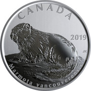 Canada 50 Cents Marmota vancouverensis 2019 BU 2019 CANADA JK MARMOTA VANCOUVERENSIS coin reverse Canada 50 Cents Marmota vancouverensis 2019 BU 2019 CANADA JK MARMOTA VANCOUVERENSIS coin reverse