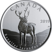 Canada 50 Cents Rangifer tarandus pearyi 2019 BU 2019 CANADA JK RANGIFER TARANDUS PEARYI coin reverse Canada 50 Cents Rangifer tarandus pearyi 2019 BU 2019 CANADA JK RANGIFER TARANDUS PEARYI coin reverse