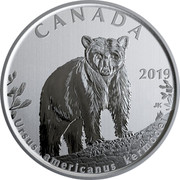 Canada 50 Cents Ursus americanus kermodei 2019 BU 2019 CANADA JK URSUS AMERICANUS KERMODEI coin reverse Canada 50 Cents Ursus americanus kermodei 2019 BU 2019 CANADA JK URSUS AMERICANUS KERMODEI coin reverse