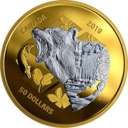 Canada 50 Dollars Grizzly Bear 2019 CANADA 2019 50 DOLLARS coin reverse Canada 50 Dollars Grizzly Bear 2019 CANADA 2019 50 DOLLARS coin reverse