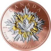 Canada 50 Dollars Maple Leaf in Motion 2019 CANADA 2019 GL FINE SILVER 9999 ARGENT PURE coin reverse Canada 50 Dollars Maple Leaf in Motion 2019 CANADA 2019 GL FINE SILVER 9999 ARGENT PURE coin reverse