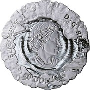 Canada 50 Dollars Polar Bears: Mother and Cub 2019 ELIZABETH II D • G • REGINA 50 DOLLARS coin obverse Canada 50 Dollars Polar Bears: Mother and Cub 2019 ELIZABETH II D • G • REGINA 50 DOLLARS coin obverse