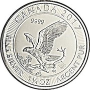 Canada 8 Dollars Bald Eagle 2017  CANADA 2017 9999 CD FINE SILVER 1 1/4 OZ ARGENT PUR coin reverse Canada 8 Dollars Bald Eagle 2017  CANADA 2017 9999 CD FINE SILVER 1 1/4 OZ ARGENT PUR coin reverse