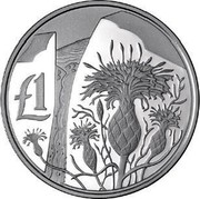 Cyprus Pound Centaurea Akamantis 2006 Proof KM# 77a £1 coin reverse Cyprus Pound Centaurea Akamantis 2006 Proof KM# 77a £1 coin reverse
