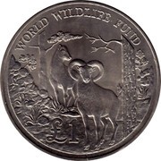 Cyprus Pound World Wildlife Fund 1986 KM# 59 1 WORLD WILDLIFE FUND coin reverse Cyprus Pound World Wildlife Fund 1986 KM# 59 1 WORLD WILDLIFE FUND coin reverse