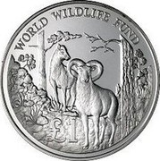 Cyprus Pound World Wildlife Fund 1986 Proof KM# 59a £1 WORLD WILDLIFE FUND coin reverse