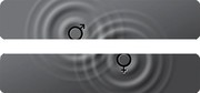 Lithuania 10€ Gender Equality 2019 LMK Proof  coin reverse Lithuania 10€ Gender Equality 2019 LMK Proof  coin reverse