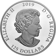 Canada 125 Dollars Primal Predators - The Grizzly 2019 ELIZABETH II 2019 D • G • REGINA 125 DOLLARS coin obverse Canada 125 Dollars Primal Predators - The Grizzly 2019 ELIZABETH II 2019 D • G • REGINA 125 DOLLARS coin obverse