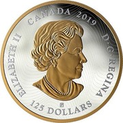 Canada 125 Dollars Tall Ships of Canada 2019 ELIZABETH II CANADA 2019 D • G • REGINA 125 DOLLARS coin obverse Canada 125 Dollars Tall Ships of Canada 2019 ELIZABETH II CANADA 2019 D • G • REGINA 125 DOLLARS coin obverse