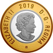 Canada 2 Dollars Big Coin Series 2019 ELIZABETH II 2019 D • G • REGINA coin obverse Canada 2 Dollars Big Coin Series 2019 ELIZABETH II 2019 D • G • REGINA coin obverse