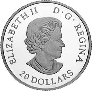 Canada 20 Dollars The Beloved Maple Leaf 2019 ELIZABETH II D G REGINA 20 DOLLARS coin obverse Canada 20 Dollars The Beloved Maple Leaf 2019 ELIZABETH II D G REGINA 20 DOLLARS coin obverse