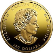 Canada 200 Dollars Celebrating Canada's Diversity. Light and Prosperity 2019 ELIZABETH II CANADA 2019 D G REGINA 200 DOLLARS coin obverse Canada 200 Dollars Celebrating Canada's Diversity. Light and Prosperity 2019 ELIZABETH II CANADA 2019 D G REGINA 200 DOLLARS coin obverse
