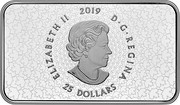 Canada 25 Dollars Her Majesty Queen Elizabeth II's Personal Canadian Flag 2019 ELIZABETH II 2019 D • G • REGINA 25 DOLLARS coin obverse