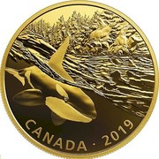 Canada 30 Dollars Orca and Sea Lions 2019 CANADA • 2019 coin reverse Canada 30 Dollars Orca and Sea Lions 2019 CANADA • 2019 coin reverse